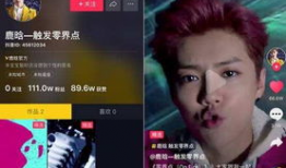 抖音短视频明星,短视频中的璀璨星光