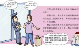 宪法漫画图,法治精神的生动展现